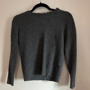 Grey Everlane Cashmere Sweater